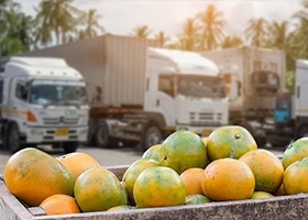 Giao nhận Logistics