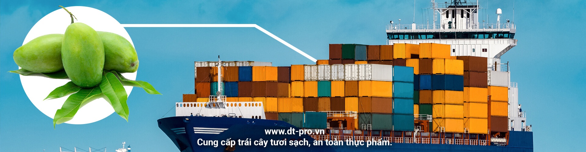 image banner