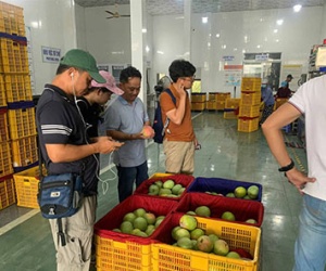 TẬP ĐOÀN WINECO ĐẾN THĂM VÀ LÀM VIỆC TẠI CÔNG TY DT-PRO