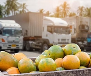 Dịch vụ Giao nhận: Tối ưu vận chuyển, đảm bảo tươi nguyên