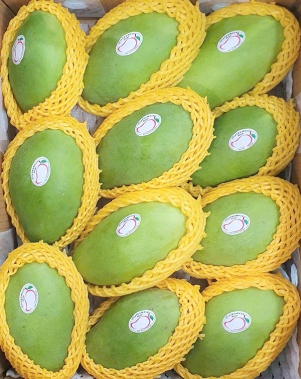 Xoài Keo Xanh Xuất Khẩu
