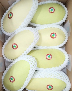 Xoài Tượng Da Vàng Xuất Khẩu