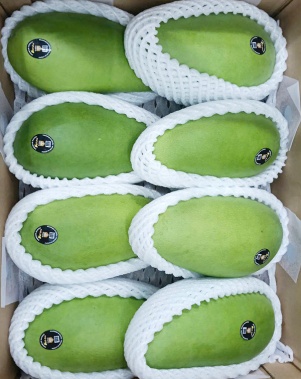 Xoài Tượng Da Xanh Xuất Khẩu