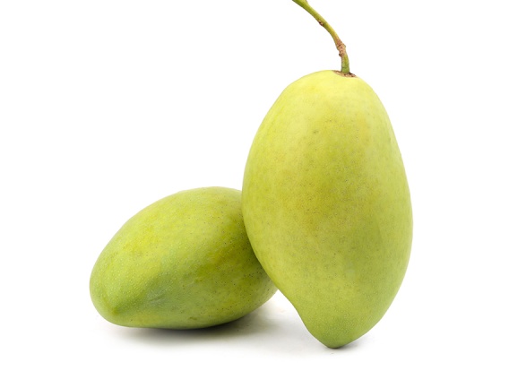 Xoài Cát Hoà Lộc XK