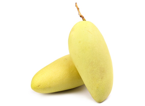 Xoài Đài Loan Vàng XK
