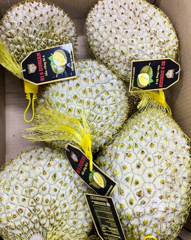 Sầu Riêng Xuất Khẩu